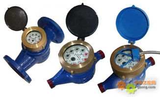 數字遠傳抄表水表 智能水表 數字遠傳水表 遠傳數字水表