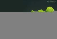 洗澡刷ic卡水表洛陽水管家牌智能感應卡水控機_安全防護_世界工廠網(wǎng)中國產(chǎn)品信息庫