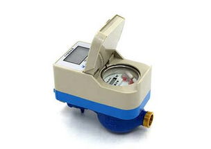 廣東六分電子水表多少錢價格 廣東六分電子水表多少錢廠家批發(fā) 