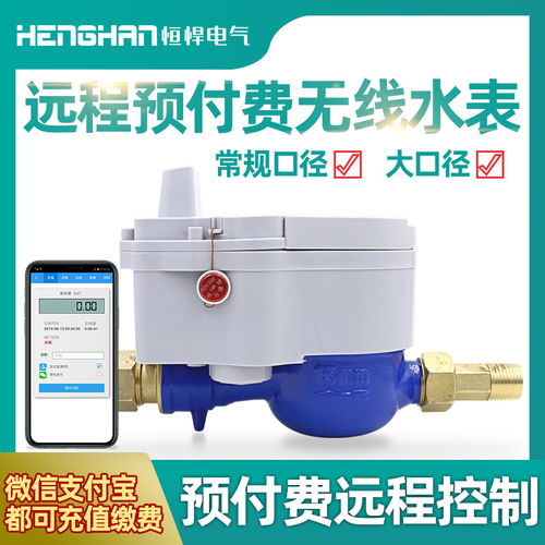 拉曼遠程無線智能水表廠家報價解析